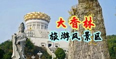 我想下载操逼视频中国浙江-绍兴大香林旅游风景区